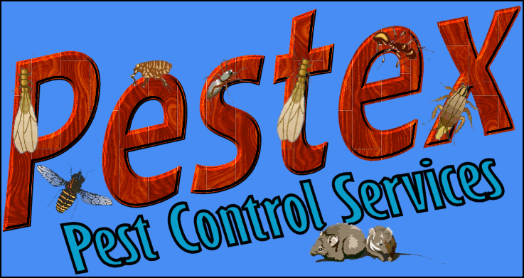 Pestex Cyprus